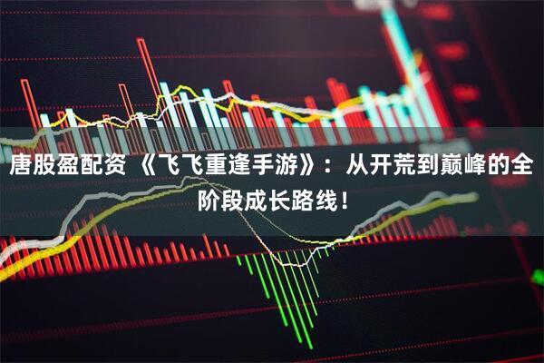 唐股盈配资 《飞飞重逢手游》：从开荒到巅峰的全阶段成长路线！
