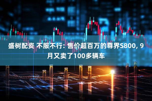 盛树配资 不服不行: 售价超百万的尊界S800, 9月又卖了100多辆车